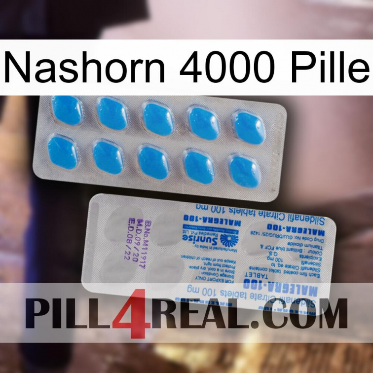 Rhino 4000 Pill new15